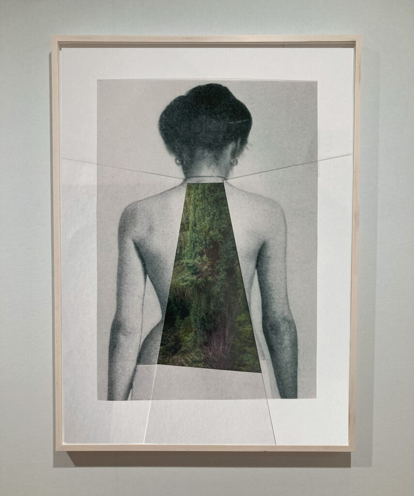 Milja Laurila Interiors, photographic collage of early 20th-century female patients