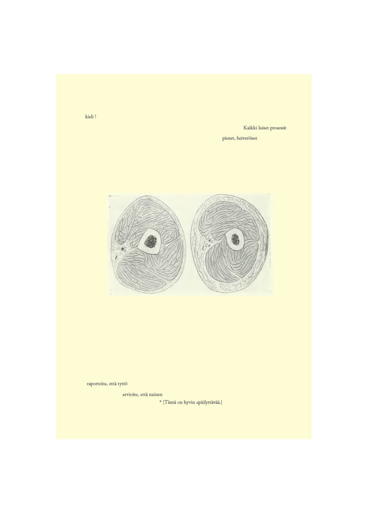 Milja Laurila Erasure poetry