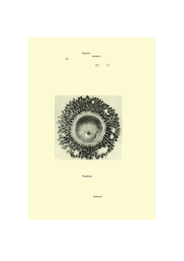 Milja Laurila Erasure poetry